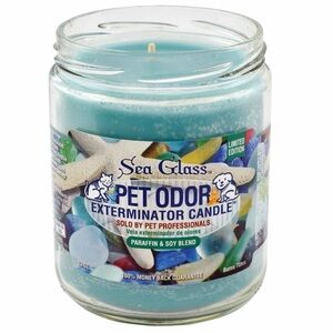 Pet Odor Exterminator 13 oz Jar Candle Sea Glass - Clean/Fresh/Citrus Smell New